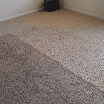 Professional carpet cleaning in Naples FL removing stains and deep dirt