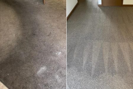 carpetbeforeafter